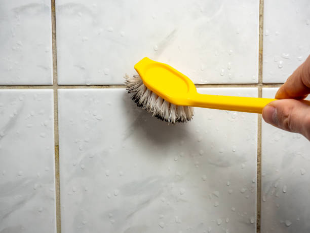 Mission Canyon, CA Mold Remediation Company